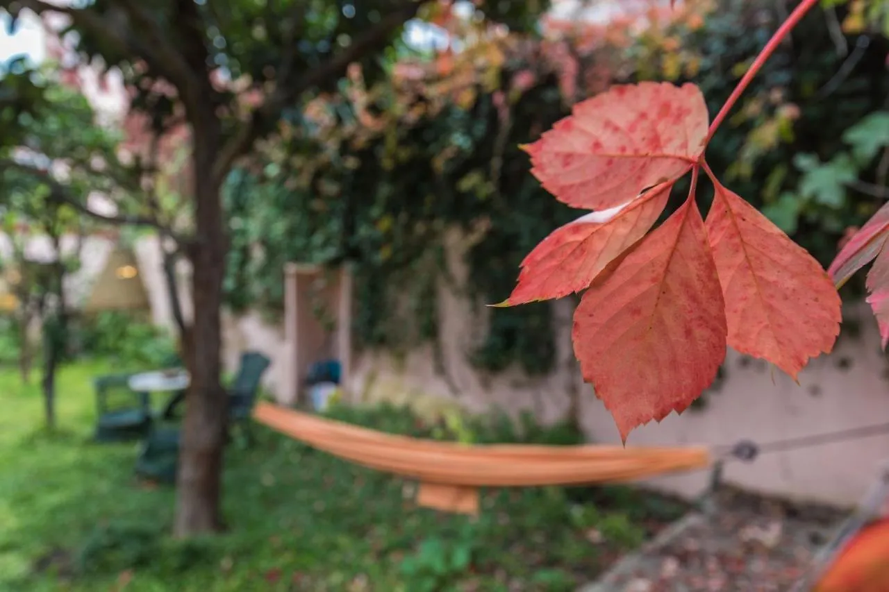 شقة Secret Garden House Lisboa